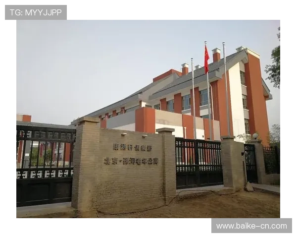 南京乒乓球队在钻石联赛中的拼搏历程与荣耀时刻全景回顾