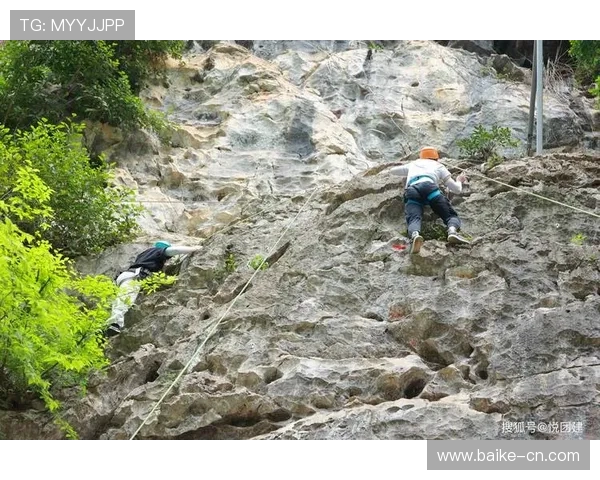广州攀岩队团队协作的独特优势与其他队伍的深度对比分析